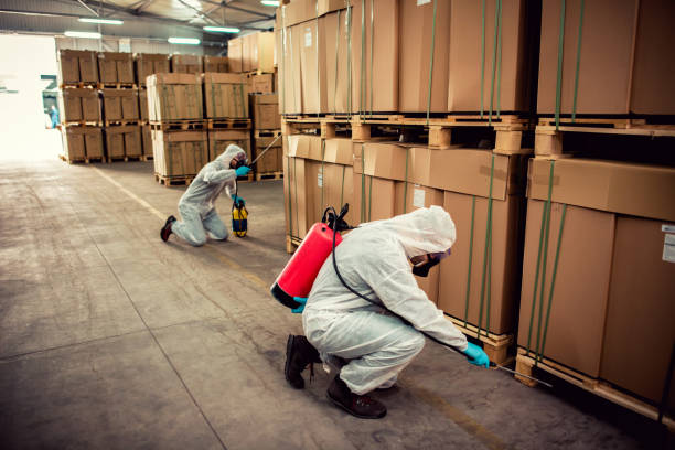 Best Mosquito Control Services  in Wurtland, KY