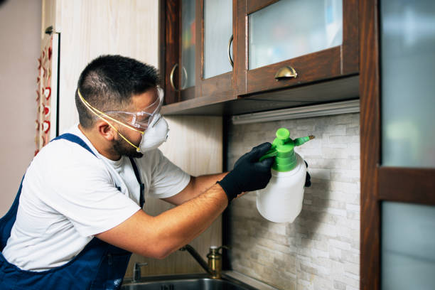 Wasp Removal Services in Wurtland, KY