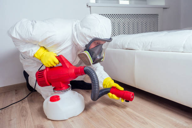 Best Affordable Pest Control Services  in Wurtland, KY
