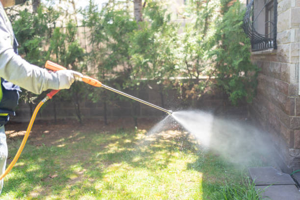 Best Flea Control Services  in Wurtland, KY