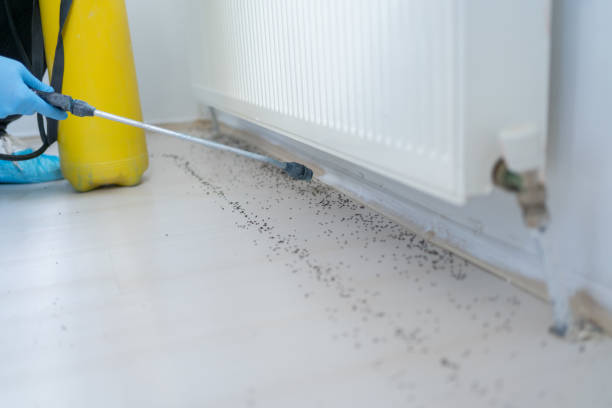 Best Residential Pest Control  in Wurtland, KY