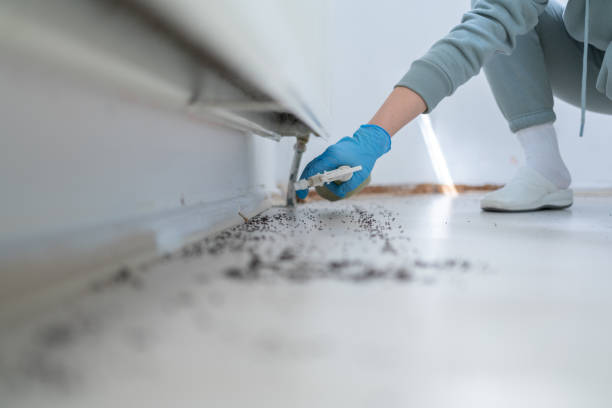 Best Pest Control for Homes  in Wurtland, KY