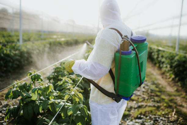 Best Pest Prevention Services  in Wurtland, KY